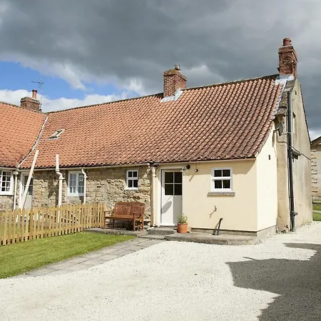 Librarian's * Coneysthorpe